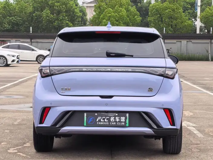 BYD Dolphin 2023 Model Fashion Edition