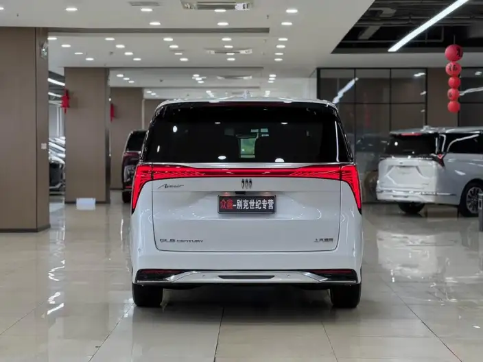 Century 2023 Model 2.0T VI seat Yunshi Edition – фото 5