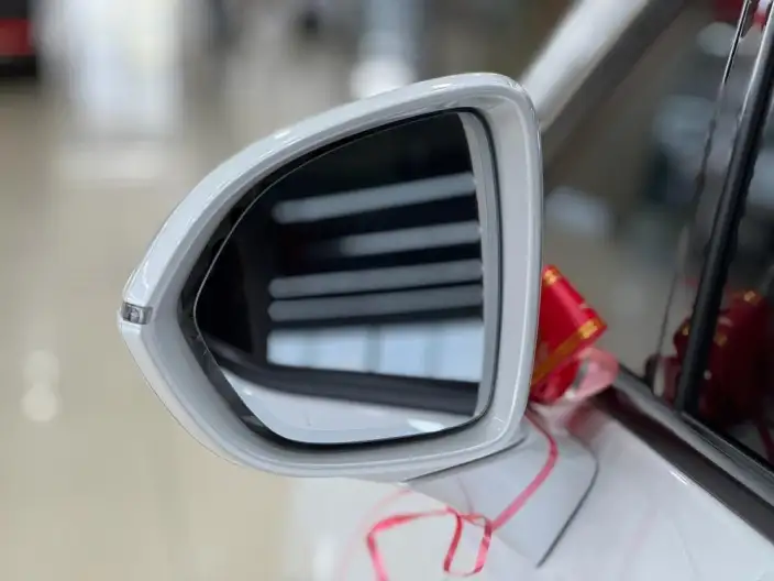 Century 2023 Model 2.0T VI seat Yunshi Edition – фото 8