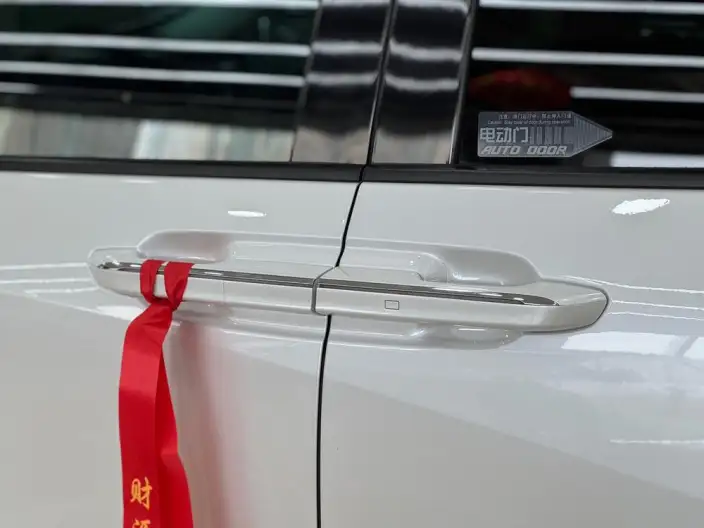Century 2023 Model 2.0T VI seat Yunshi Edition – фото 10