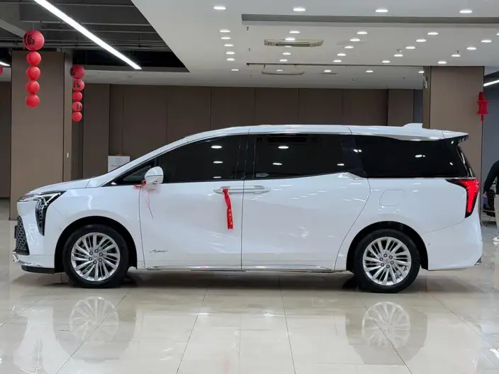 Century 2023 Model 2.0T VI seat Yunshi Edition