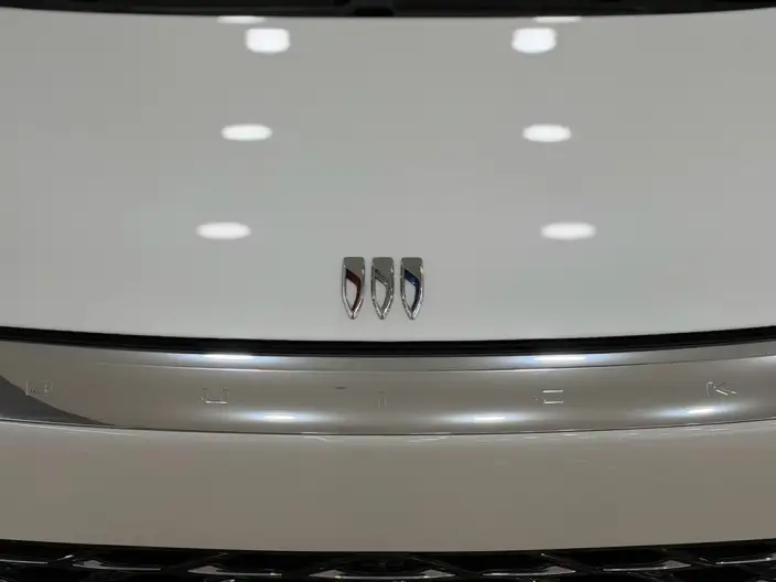 Century 2023 Model 2.0T VI seat Yunshi Edition – фото 7