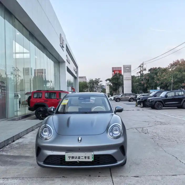ORA Good Cat 2025 Model 430km Zunrong Model