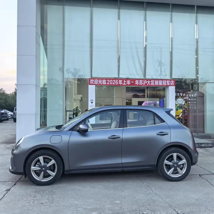 ORA Good Cat 2025 Model 430km Zunrong Model