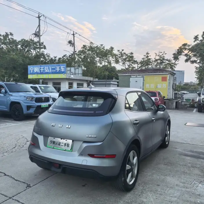 ORA Good Cat 2025 Model 430km Zunrong Model – фото 5