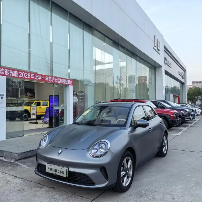 ORA Good Cat 2025 Model 430km Zunrong Model – фото 9