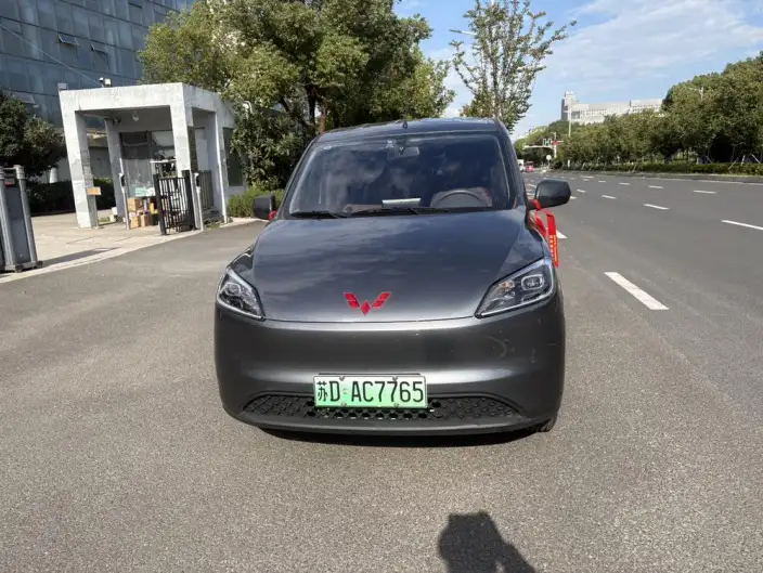 Wuling Hongguang EV Edition 2026 Model 300KM Standard Model