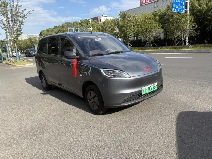 Wuling Hongguang EV Edition 2026 Model 300KM Standard Model
