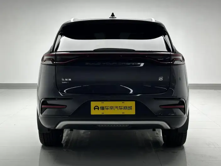 BYD Tang DM 2021 Model DM-i 1.5T 112KM Zunrong Model – фото 6