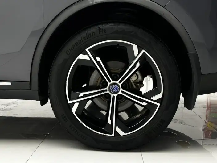 BYD Tang DM 2021 Model DM-i 1.5T 112KM Zunrong Model – фото 9