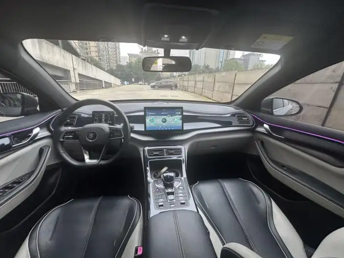 BYD Qin PLUS DM 2021 Model DM-i 55KM Noble Model – фото 8