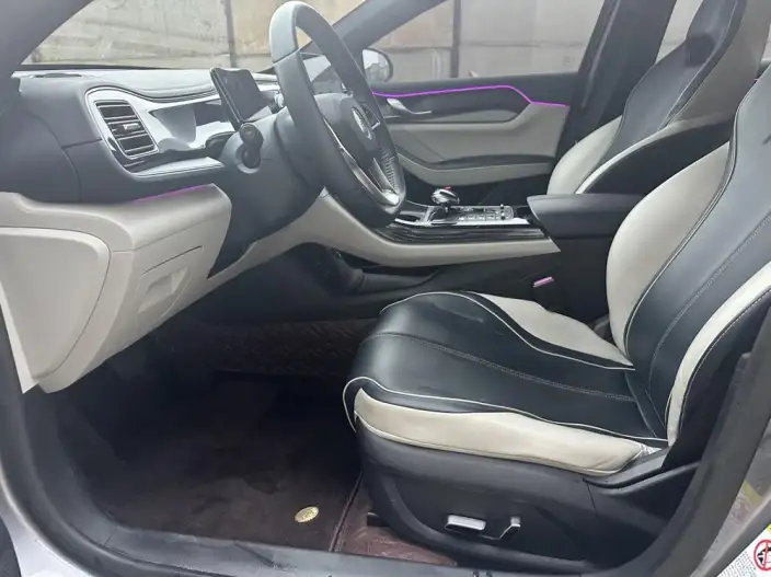 BYD Qin PLUS DM 2021 Model DM-i 55KM Noble Model – фото 9