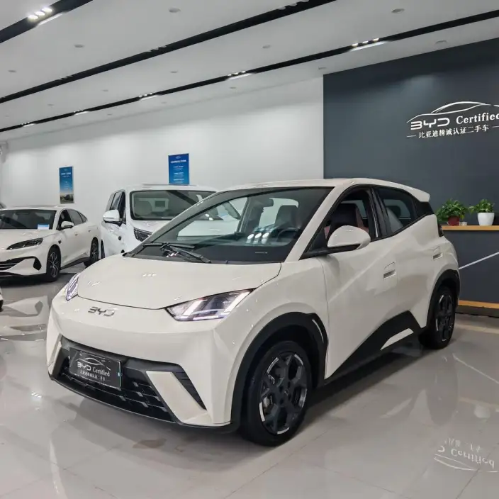 BYD Seagull 2025 Model 405KM Feixiang Edition