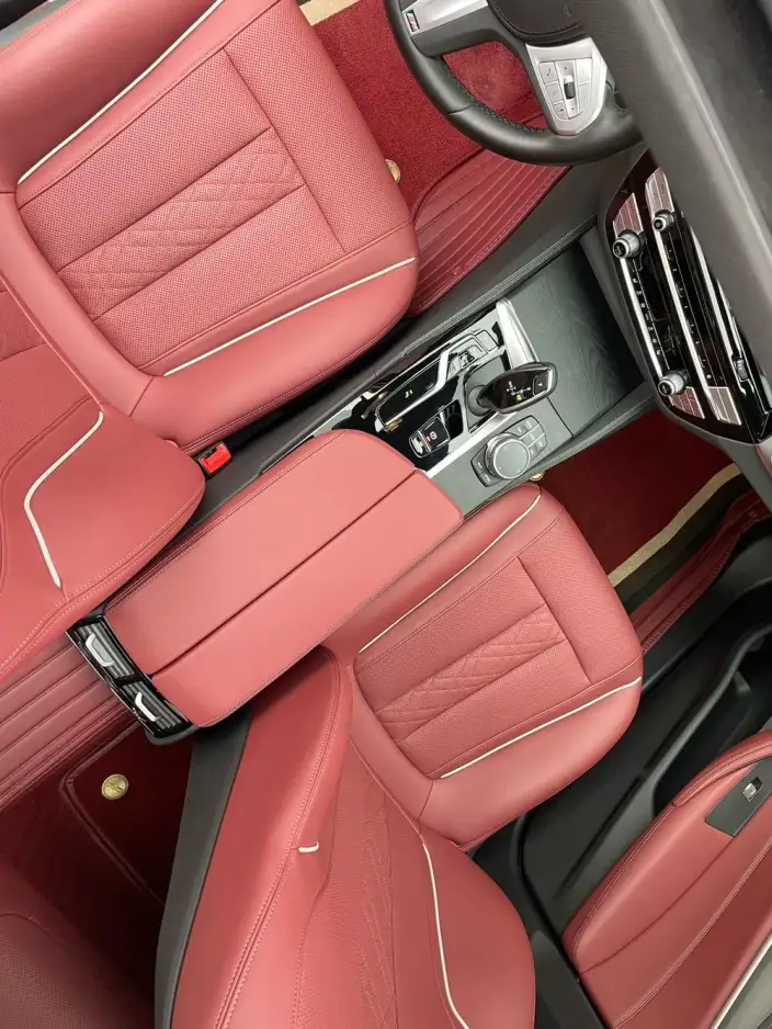BMW 5 Series 2023 Model 530Li Leading Model Luxury Set – фото 8