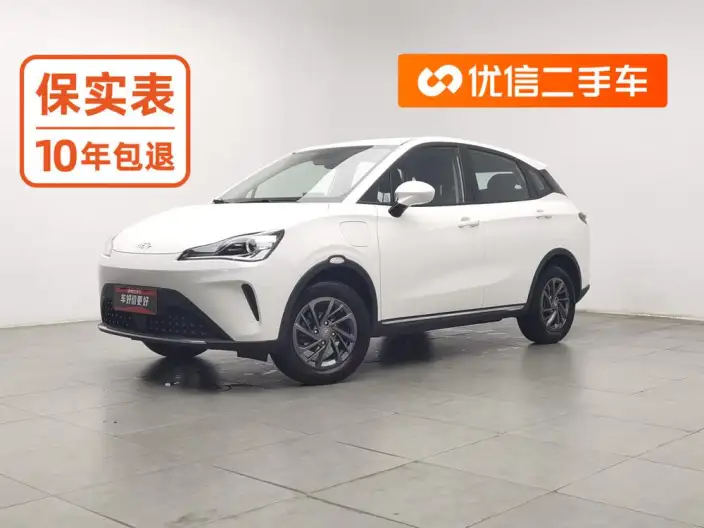 Neta AYA 2023 Model 318 Lite