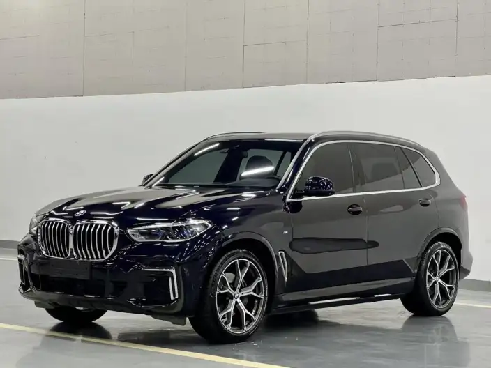BMW X5 2022 Model Facelift xDrive 40Li M Sports Set