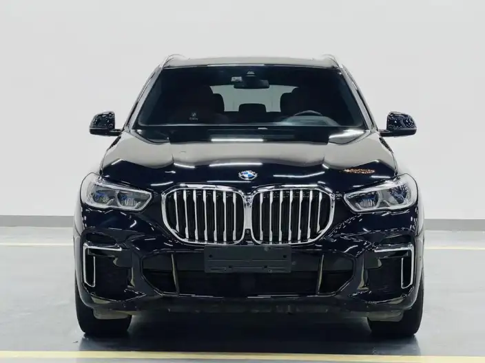 BMW X5 2022 Model Facelift xDrive 40Li M Sports Set