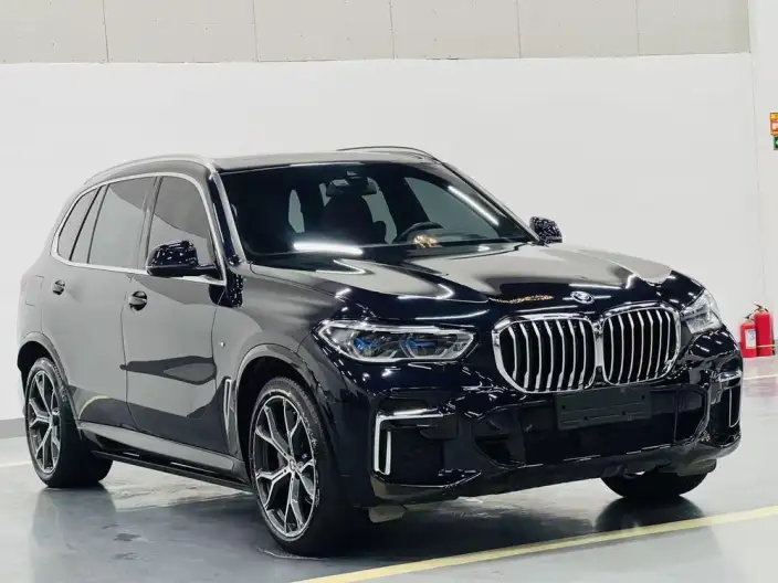 BMW X5 2022 Model Facelift xDrive 40Li M Sports Set