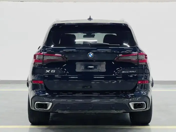 BMW X5 2022 Model Facelift xDrive 40Li M Sports Set – фото 5
