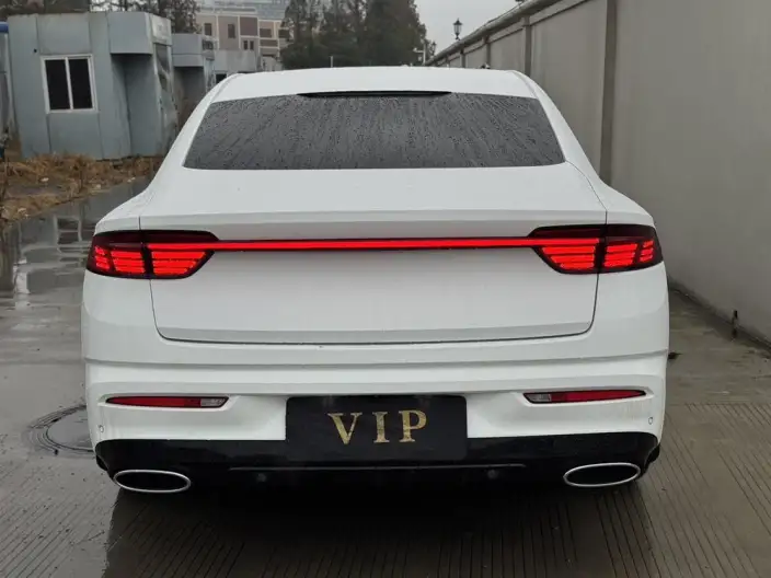 Geely StarRui 2021 Model 2.0T Noble Model – фото 5