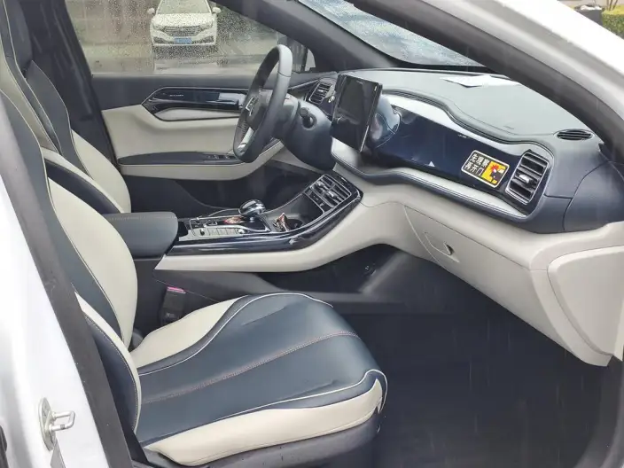BYD Qin PLUS DM 2021 Model DM-i 55KM Noble Model – фото 10