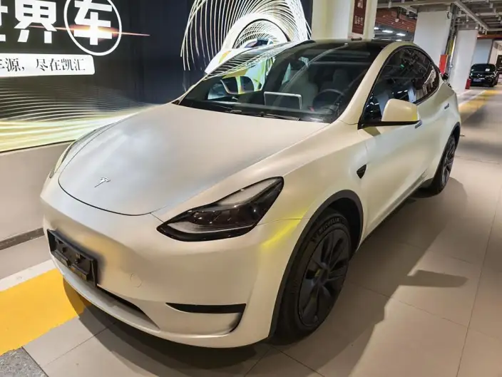 Model Y 2024 Model Rear-wheel drive version – фото 1