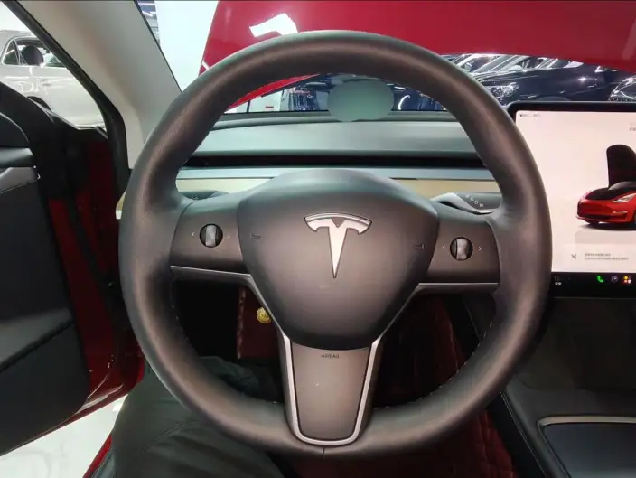 Model 3 2022 Model Rear-wheel drive version – фото 9