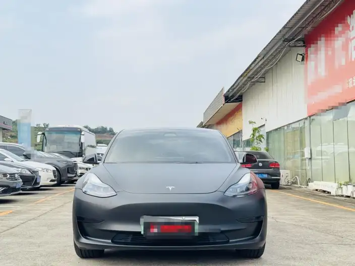 Model 3 2022 Model Rear-wheel drive version – фото 2