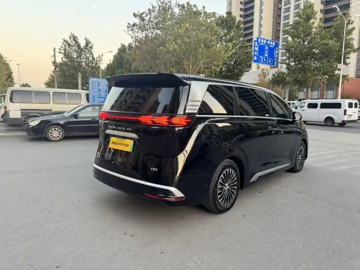 DENZA D9 DM 2022 Model 970 4WD Flagship Model – фото 6