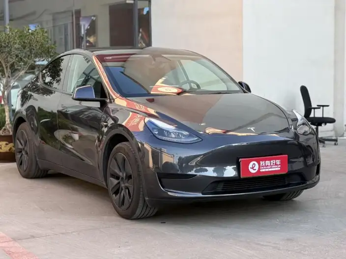 Model Y 2024 Model Rear-wheel drive version – фото 3