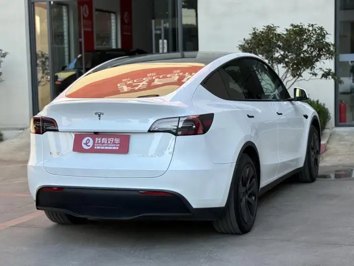 Model Y 2024 Model Rear-wheel drive version – фото 6