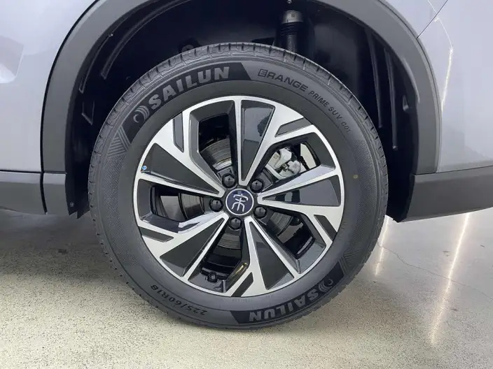 BYD Song Pro DM 2026 Model DM-i 133KM Enterprising Model – фото 7