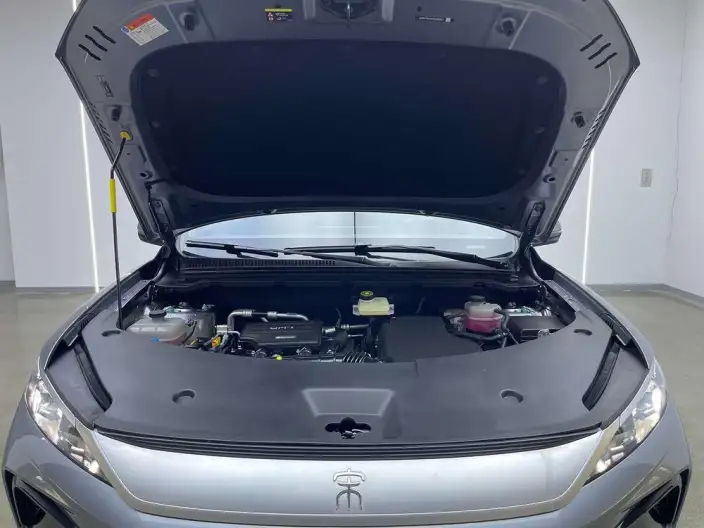 BYD Song Pro DM 2026 Model DM-i 133KM Enterprising Model – фото 8