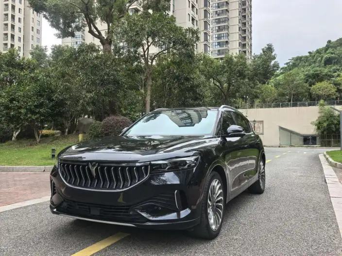VOYAH FREE 2021 Model 2WD Standard EV City Edition