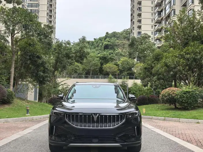 VOYAH FREE 2021 Model 2WD Standard EV City Edition