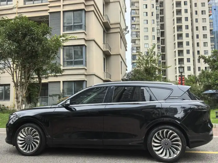 VOYAH FREE 2021 Model 2WD Standard EV City Edition