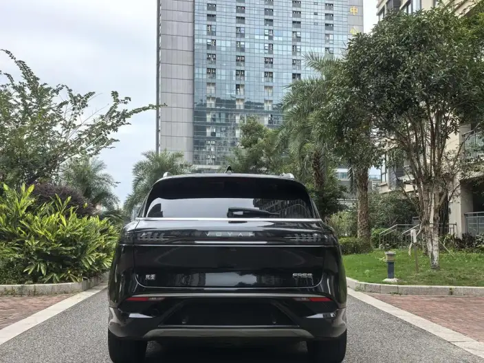 VOYAH FREE 2021 Model 2WD Standard EV City Edition