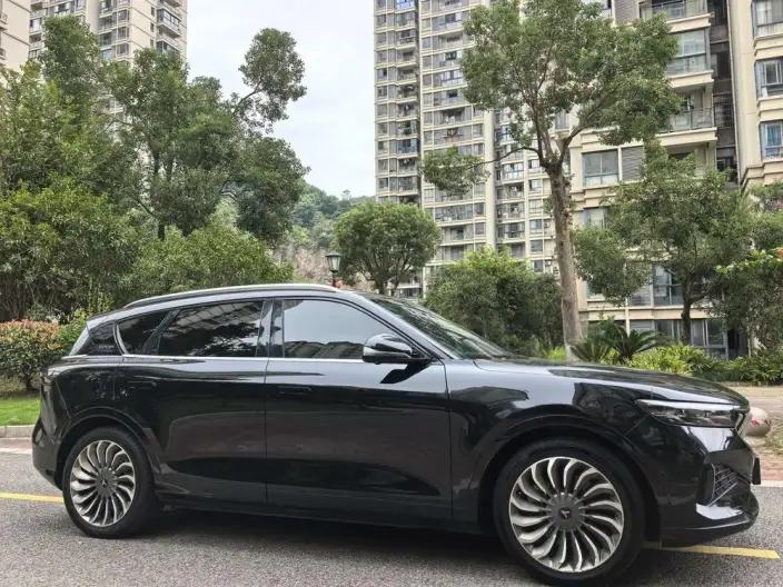VOYAH FREE 2021 Model 2WD Standard EV City Edition – фото 7