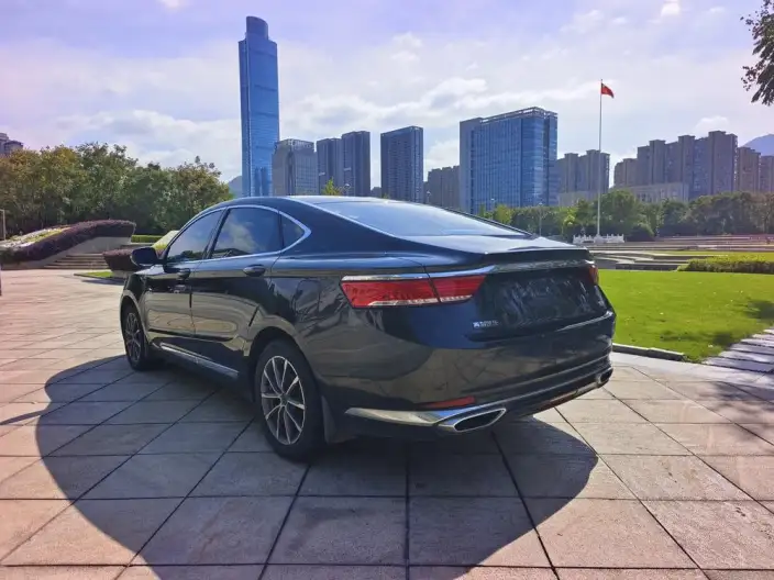 Geely Borui 2021 Model 1.8T Pilot Edition + – фото 5