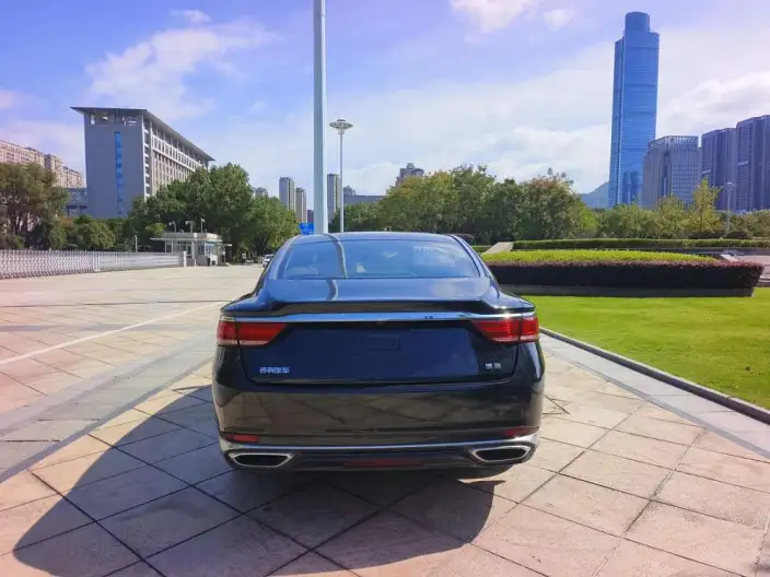 Geely Borui 2021 Model 1.8T Pilot Edition + – фото 6