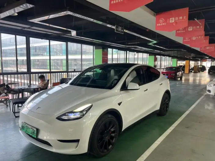 Model Y 2022 Model Facelift Rear-wheel drive version – фото 1