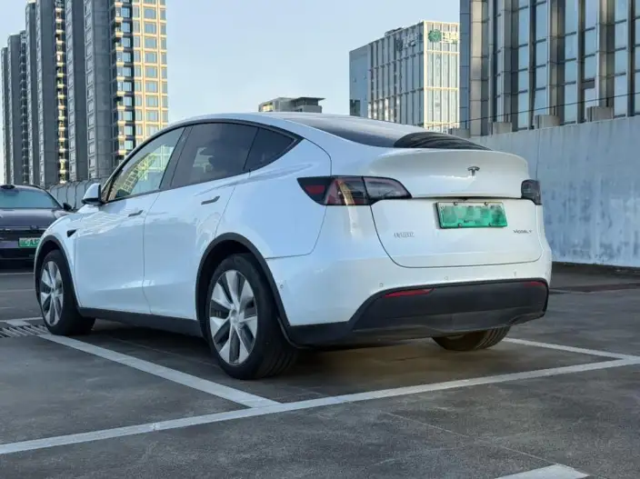 Model Y 2022 Model Facelift Rear-wheel drive version – фото 4