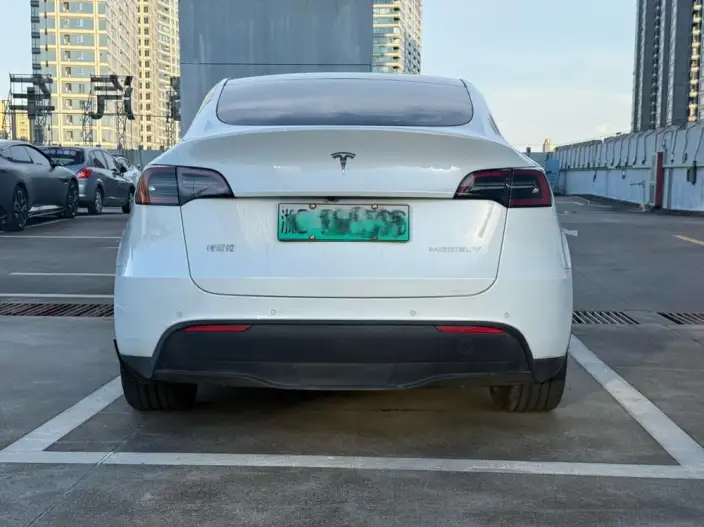 Model Y 2022 Model Facelift Rear-wheel drive version – фото 5
