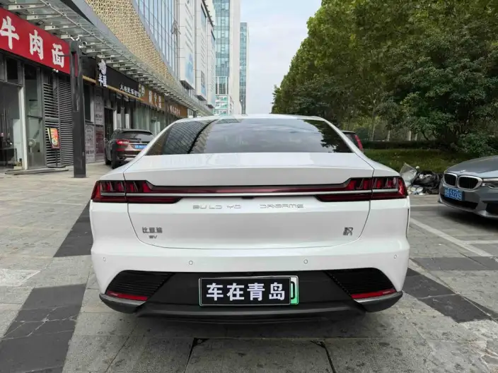 BYD Han EV 2020 Model Ultra-long Endurance Noble Model – фото 4