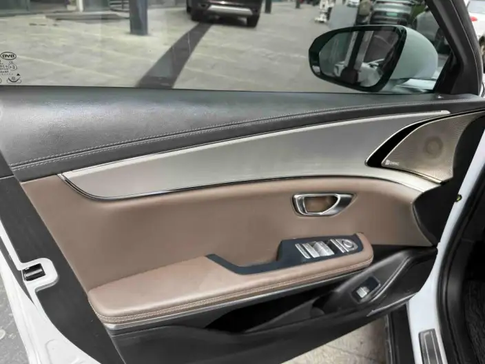BYD Han EV 2020 Model Ultra-long Endurance Noble Model – фото 7
