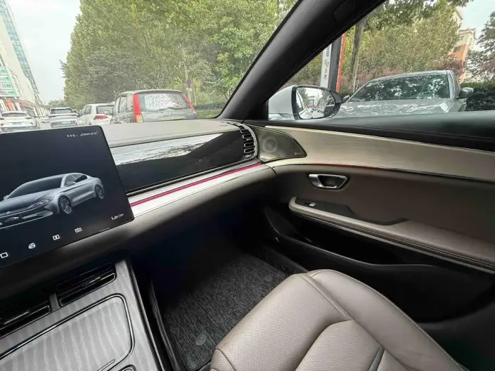BYD Han EV 2020 Model Ultra-long Endurance Noble Model – фото 9