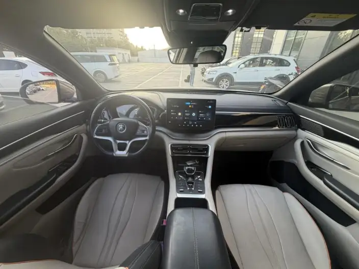 BYD Song PLUS EV 2021 Model Noble Model – фото 8