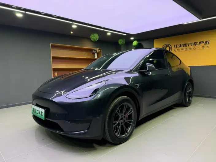 Model Y 2024 Model Rear-wheel drive version – фото 1