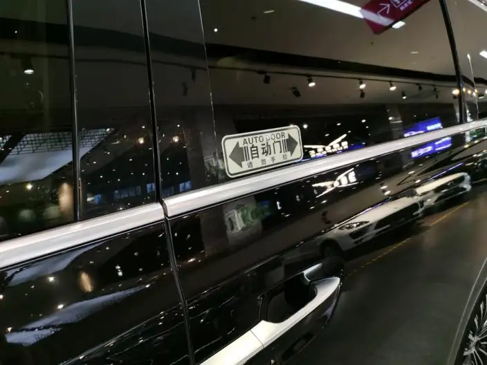 DENZA D9 DM 2024 Model 1050 Exclusive Model – фото 8