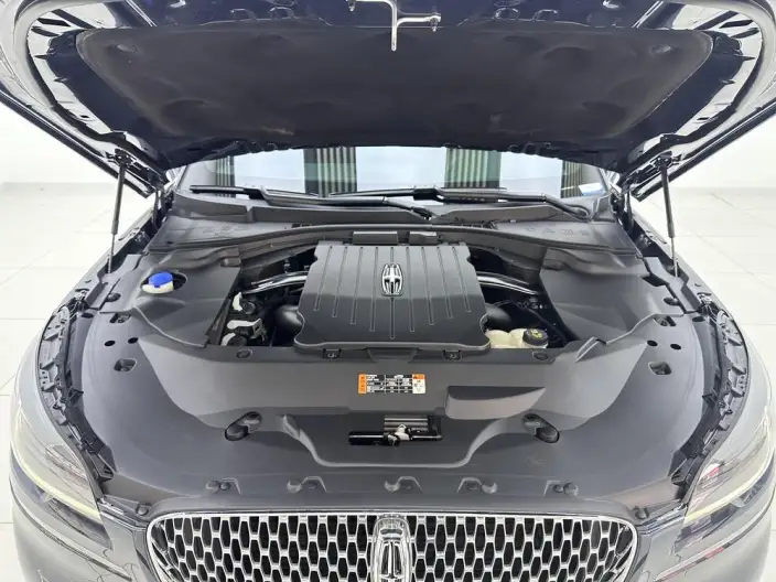 Aviator 2021 Model 3.0T V6 4WD Zunya Edition – фото 10